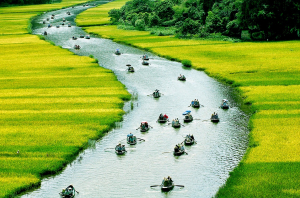 Thiên nhiên quê hương Việt Nam